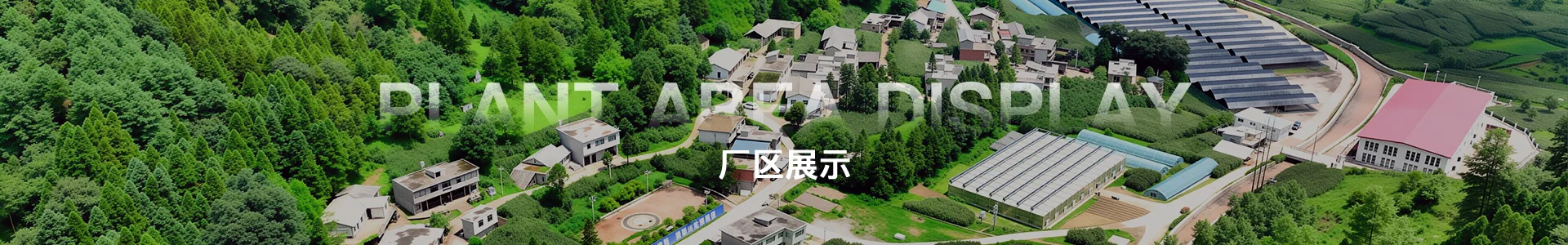 天麻种植基地