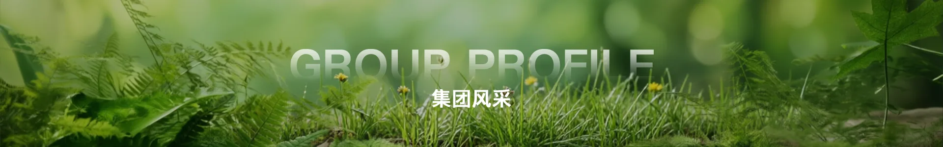 活动剪影
